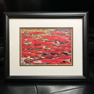 Sockeye Salmon Run by Lee Mann